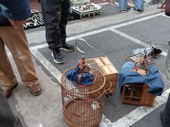 -云洲古玩城(大木桥路店)