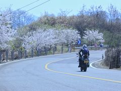 -四明山国家森林公园