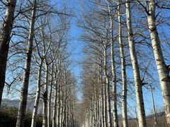 -北京西山滑雪场