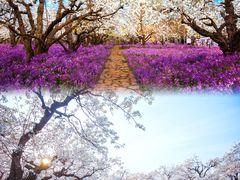 -江苏三台山国家森林公园