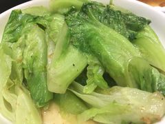-鹅城