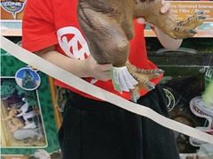 -TOYSRUS玩具反斗城(天津远洋乐堤港店)