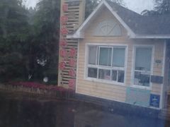 到达时大雨-日照海滨国家森林公园