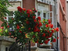 -天津五大道文化旅游区