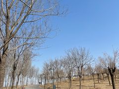 -东郊湿地公园