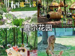 -老鼎万春卤菜(五代传承创始老店)