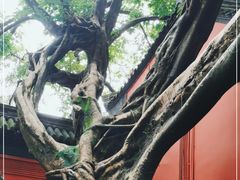 -成都武侯祠博物馆