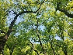 -宁波市保国寺古建筑博物馆