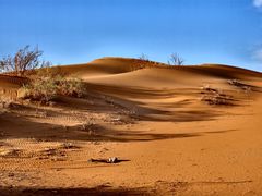 -亿利库布其七星湖沙漠生态旅游区