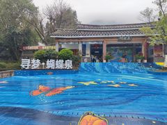 -蝴蝶泉公园