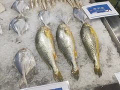 -金汇酒楼(中山东区店)