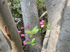 -杭州大厦购物城