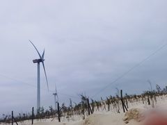 -长江澳风力发电景观区