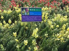 -广东花都香草世界旅游度假区