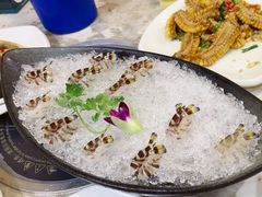 -富来美食(成发大厦店)
