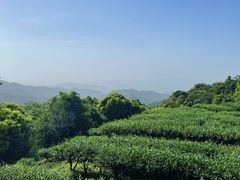 -梅州天地人花园酒店(梅县人民广场店)