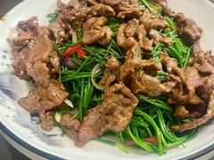 -清真双宝红油牛系列