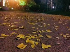 -光明港公园