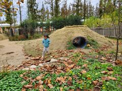 -前小桔亲子创意农场·草莓采摘·露营烧烤