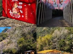 -龙湾潭国家森林公园
