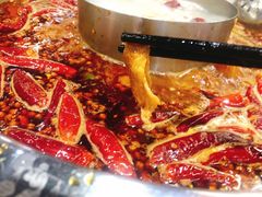 -谭鸭血老火锅(七宝万科广场店)