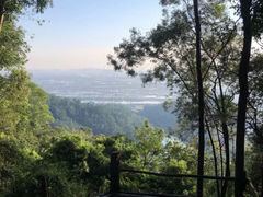 -滴水岩森林公园