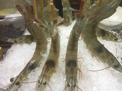 -渔傅·蓝海岸霞浦海鲜(正祥店)