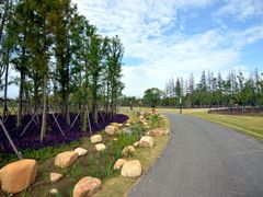 -上海长兴岛郊野公园