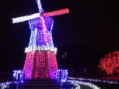 -亚龙湾国际玫瑰谷