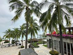 -日落吧·海景咖啡厅·餐酒吧·鸡尾酒·下午茶·乐队表演·浪漫夕阳·三亚文华东方酒店