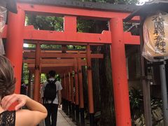-上野公园花园稻荷神社(忍岡稲荷神社)