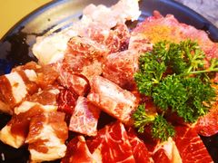 -熊出没日本烧肉放题