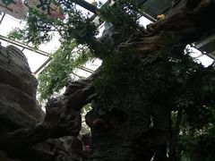 -南京人家(盛京大奥莱店)