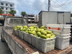 -林旺社区水果市场