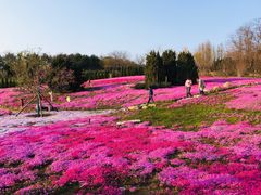 -棒棰岛宾馆景区