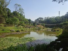 -东莞植物园