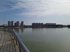 -映月湖中央公园