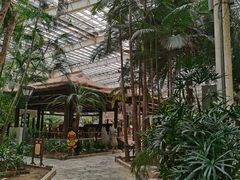 -龙达温泉生态城