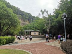 -金鸡山公园