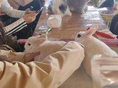 -omitofee咖啡(水泽店)