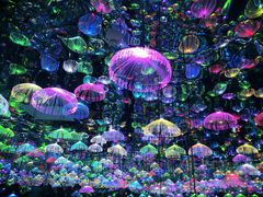 -天津梵高星空艺术馆(天河城旗舰店)