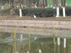 -河泥荡文化公园
