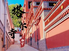 -塔尔寺