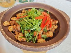 -五谷芳乳鸽王(梅沙老店)