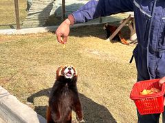 -水上乐园·欢乐世界