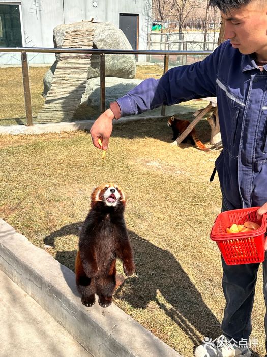 水上乐园·欢乐世界图片