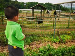 -宾果蒙特梭利托育儿童之家幼儿园(爱琴海店)