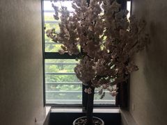 -杭州水知情足浴SPA(苏州店)