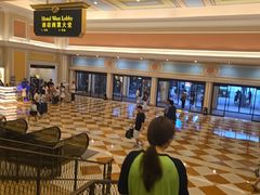 -澳门威尼斯人综合度假区