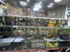 -来之顺海鲜菜馆·青岛菜(栈桥店)